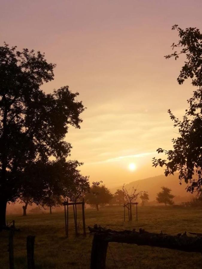 Ferienwohnung Am Steinchen Mettlach Buitenkant foto