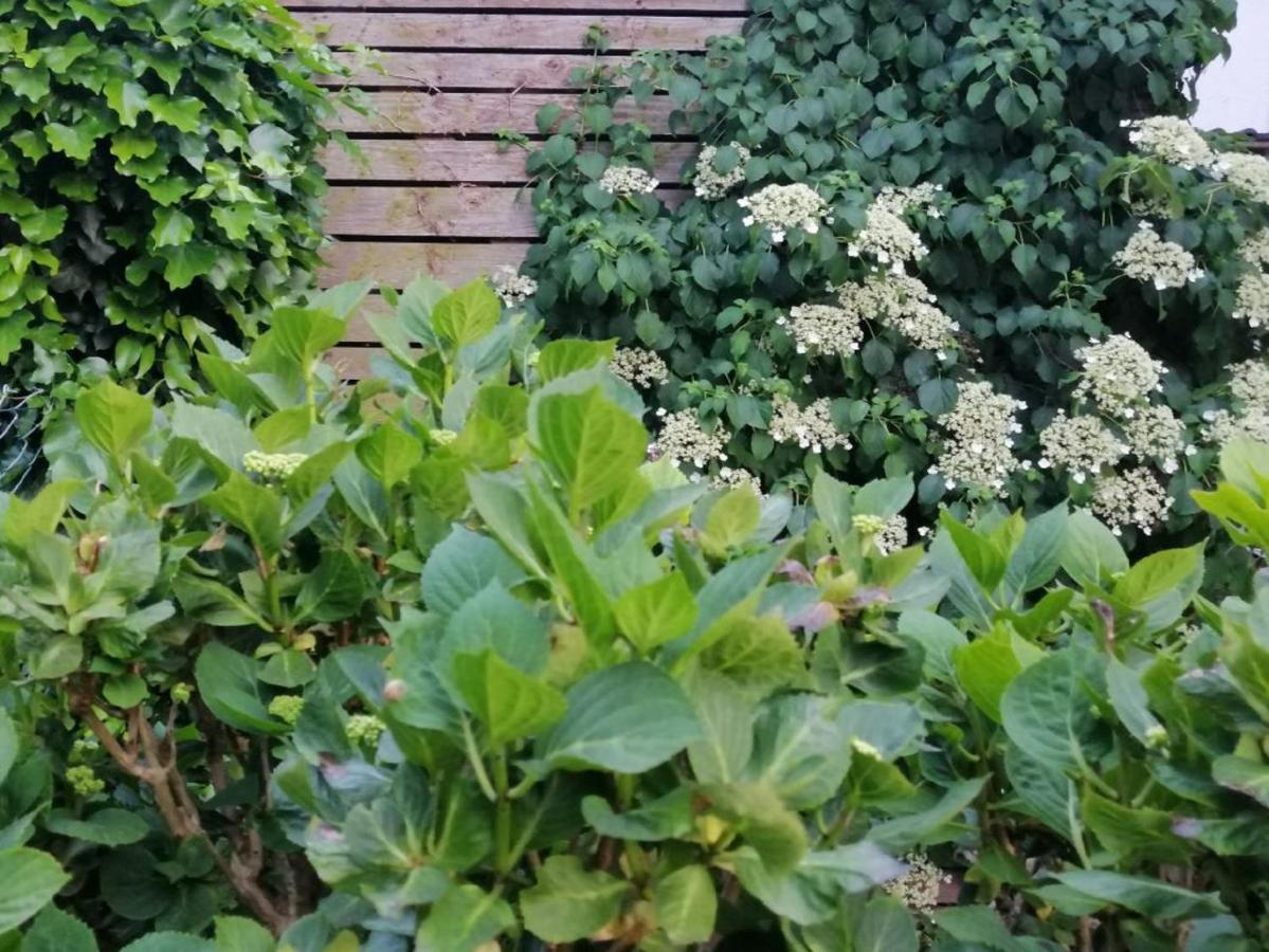 Ferienwohnung Am Steinchen Mettlach Buitenkant foto